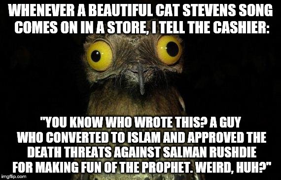 Weird Stuff I Do Potoo | WHENEVER A BEAUTIFUL CAT STEVENS SONG COMES ON IN A STORE, I TELL THE CASHIER:; "YOU KNOW WHO WROTE THIS? A GUY WHO CONVERTED TO ISLAM AND APPROVED THE DEATH THREATS AGAINST SALMAN RUSHDIE FOR MAKING FUN OF THE PROPHET. WEIRD, HUH?" | image tagged in memes,weird stuff i do potoo | made w/ Imgflip meme maker