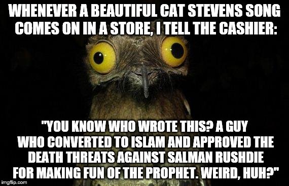 Weird Stuff I Do Potoo Meme | WHENEVER A BEAUTIFUL CAT STEVENS SONG COMES ON IN A STORE, I TELL THE CASHIER:; "YOU KNOW WHO WROTE THIS? A GUY WHO CONVERTED TO ISLAM AND APPROVED THE DEATH THREATS AGAINST SALMAN RUSHDIE FOR MAKING FUN OF THE PROPHET. WEIRD, HUH?" | image tagged in memes,weird stuff i do potoo | made w/ Imgflip meme maker