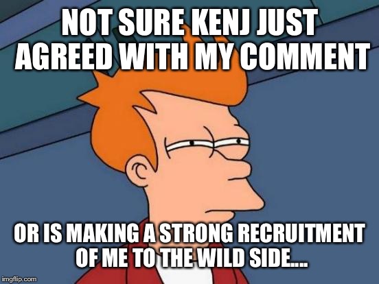 Futurama Fry Meme | NOT SURE KENJ JUST AGREED WITH MY COMMENT OR IS MAKING A STRONG RECRUITMENT OF ME TO THE WILD SIDE.... | image tagged in memes,futurama fry | made w/ Imgflip meme maker