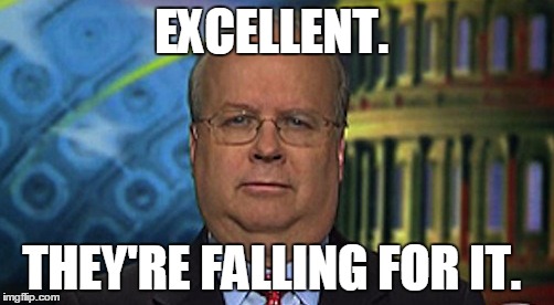 EXCELLENT. THEY'RE FALLING FOR IT. | image tagged in karl rove | made w/ Imgflip meme maker