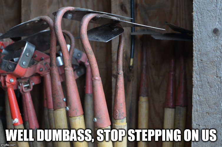 Hoes | WELL DUMBASS, STOP STEPPING ON US | image tagged in hoes | made w/ Imgflip meme maker