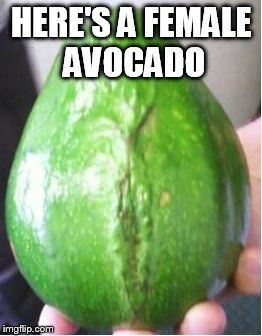 Pussy Avocado | HERE'S A FEMALE AVOCADO | image tagged in pussy avocado | made w/ Imgflip meme maker