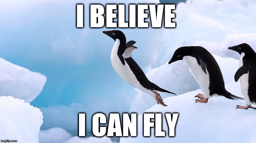 I BELIEVE; I CAN FLY | image tagged in penguins,funny | made w/ Imgflip meme maker