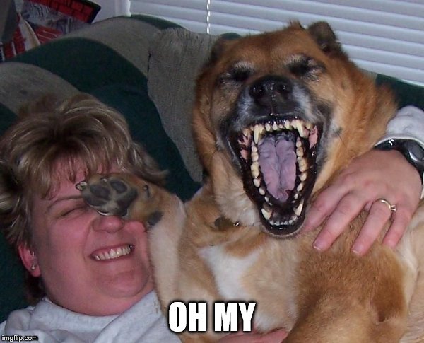 laughing dog | OH MY | image tagged in laughing dog | made w/ Imgflip meme maker