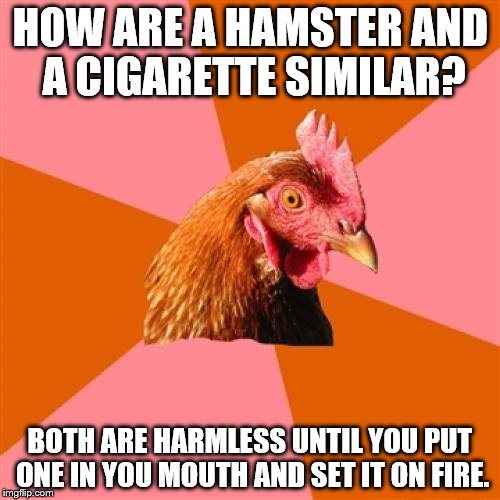 Anti Joke Chicken Meme | HOW ARE A HAMSTER AND A CIGARETTE SIMILAR? BOTH ARE HARMLESS UNTIL YOU PUT ONE IN YOU MOUTH AND SET IT ON FIRE. | image tagged in memes,anti joke chicken | made w/ Imgflip meme maker