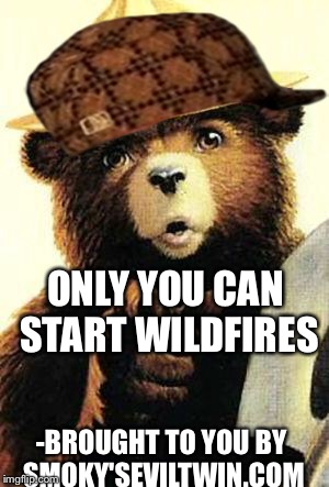 smokey the bear | ONLY YOU CAN START WILDFIRES; -BROUGHT TO YOU BY SMOKY'SEVILTWIN.COM | image tagged in smokey the bear,scumbag | made w/ Imgflip meme maker