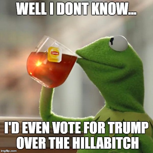 But That's None Of My Business Meme | WELL I DONT KNOW... I'D EVEN VOTE FOR TRUMP OVER THE HILLAB**CH | image tagged in memes,but thats none of my business,kermit the frog | made w/ Imgflip meme maker