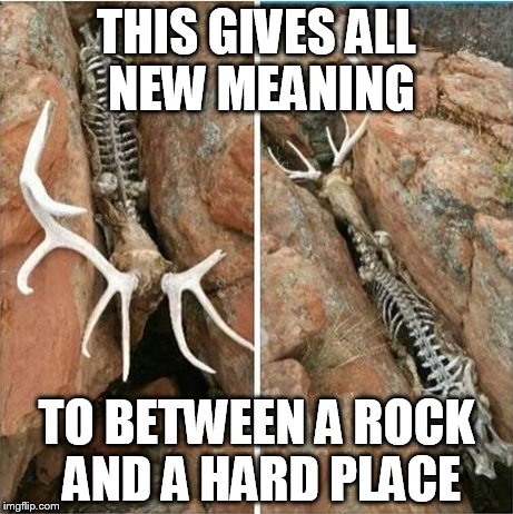 Rock & Hard Place | THIS GIVES ALL NEW MEANING; TO BETWEEN A ROCK AND A HARD PLACE | image tagged in funny | made w/ Imgflip meme maker