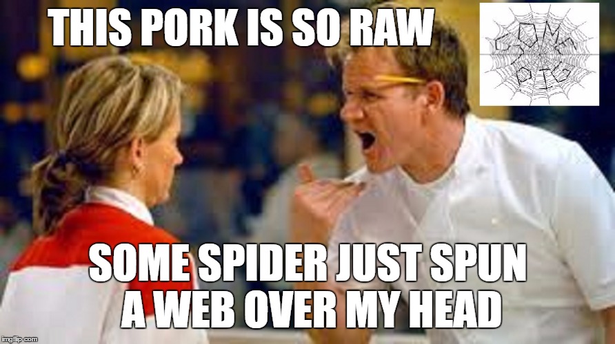 gordon ramsay  | THIS PORK IS SO RAW; SOME SPIDER JUST SPUN A WEB OVER MY HEAD | image tagged in chef gordon ramsay,angry chef gordon ramsay,funny memes | made w/ Imgflip meme maker