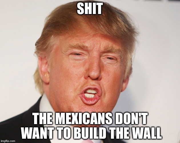 Donald Trump | SHIT; THE MEXICANS DON'T WANT TO BUILD THE WALL | image tagged in donald trump | made w/ Imgflip meme maker