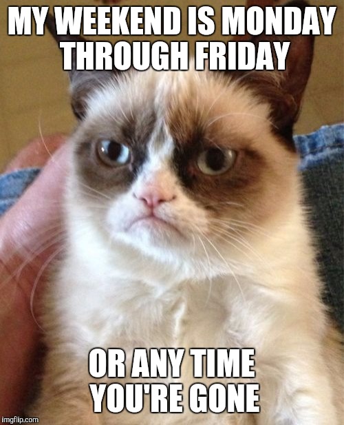 Grumpy Cat | MY WEEKEND IS MONDAY THROUGH FRIDAY; OR ANY TIME YOU'RE GONE | image tagged in memes,grumpy cat | made w/ Imgflip meme maker