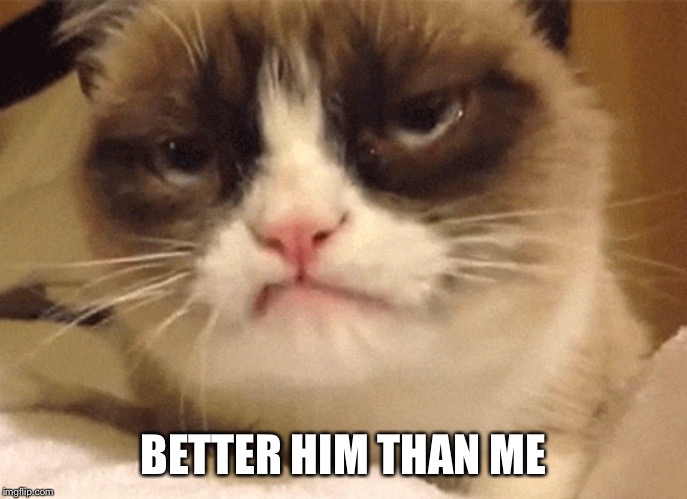 DISAPPROVING GRUMPY CAT | BETTER HIM THAN ME | image tagged in disapproving grumpy cat | made w/ Imgflip meme maker