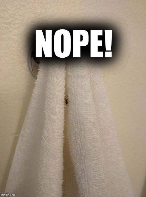 NOPE! | image tagged in spider towel,nope | made w/ Imgflip meme maker