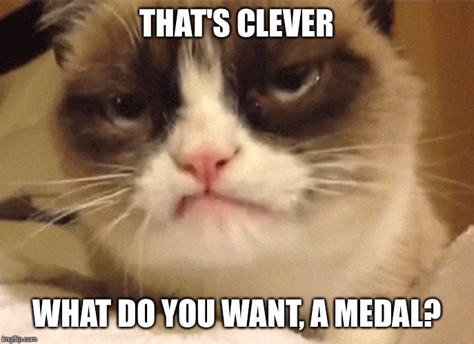 DISAPPROVING GRUMPY CAT | THAT'S CLEVER WHAT DO YOU WANT, A MEDAL? | image tagged in disapproving grumpy cat | made w/ Imgflip meme maker