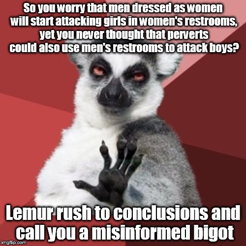 Chill Out Lemur | So you worry that men dressed as women will start attacking girls in women's restrooms, yet you never thought that perverts could also use men's restrooms to attack boys? Lemur rush to conclusions and call you a misinformed bigot | image tagged in memes,chill out lemur | made w/ Imgflip meme maker