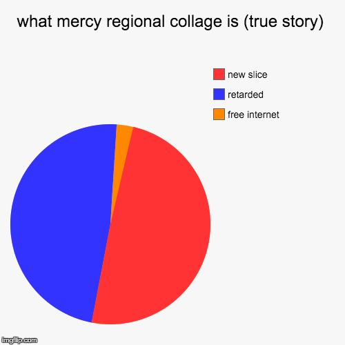 image tagged in funny,pie charts | made w/ Imgflip chart maker