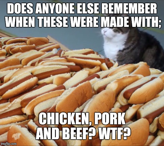 Cat Hot Dogs | DOES ANYONE ELSE REMEMBER WHEN THESE WERE MADE WITH;; CHICKEN, PORK AND BEEF? WTF? | image tagged in cat hot dogs | made w/ Imgflip meme maker