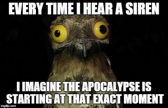 Then I look for the best escape route | EVERY TIME I HEAR A SIREN; I IMAGINE THE APOCALYPSE IS STARTING AT THAT EXACT MOMENT | image tagged in memes,weird stuff i do potoo,apocalypse,end of the world | made w/ Imgflip meme maker