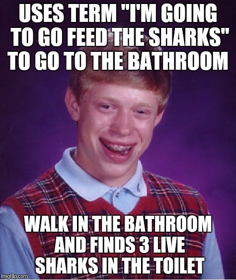 I didnt see that one comming | USES TERM "I'M GOING TO GO FEED THE SHARKS" TO GO TO THE BATHROOM; WALK IN THE BATHROOM AND FINDS 3 LIVE SHARKS IN THE TOILET | image tagged in memes,bad luck brian | made w/ Imgflip meme maker