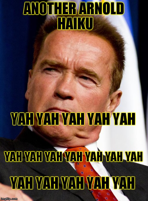 I don't know the number that we're up to,  someone else started it. Cheers to whoever that was! | ANOTHER ARNOLD HAIKU; YAH YAH YAH YAH YAH; YAH YAH YAH YAH YAH YAH YAH; YAH YAH YAH YAH YAH | image tagged in arnold schwarzenegger,haiku,meme,funny | made w/ Imgflip meme maker