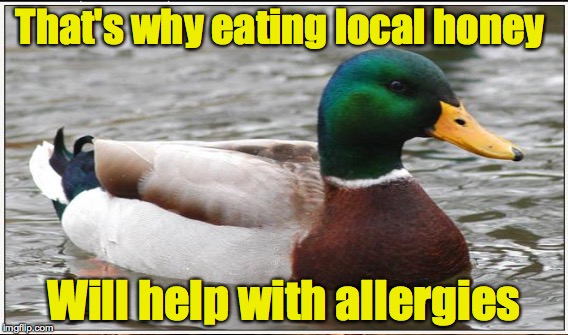 That's why eating local honey Will help with allergies | made w/ Imgflip meme maker
