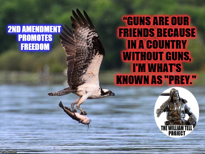 Osprey with catfish | 2ND AMENDMENT PROMOTES FREEDOM; “GUNS ARE OUR FRIENDS BECAUSE IN A COUNTRY WITHOUT GUNS, I'M WHAT'S KNOWN AS "PREY." | image tagged in osprey with catfish | made w/ Imgflip meme maker