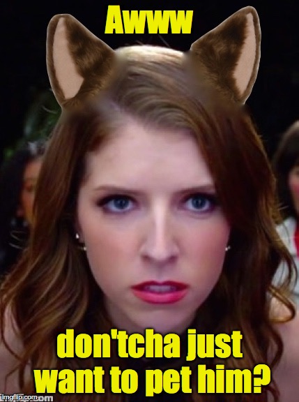 Grumpy Anna | Awww don'tcha just want to pet him? | image tagged in grumpy anna | made w/ Imgflip meme maker