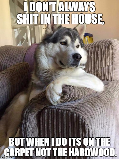 I DON'T ALWAYS SHIT IN THE HOUSE, BUT WHEN I DO ITS ON THE CARPET NOT THE HARDWOOD. | image tagged in most interesting dog,funny | made w/ Imgflip meme maker