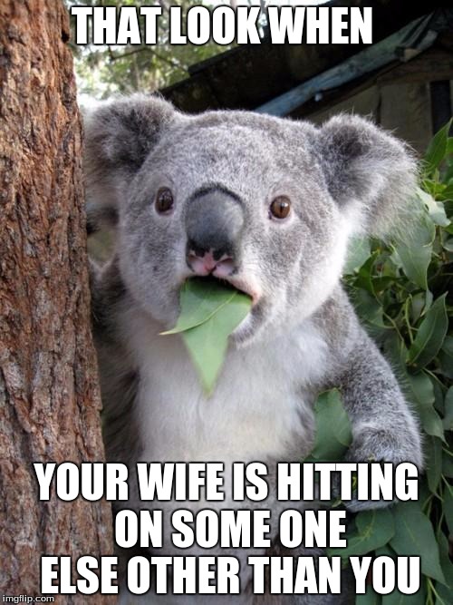 Surprised Koala | THAT LOOK WHEN; YOUR WIFE IS HITTING ON SOME ONE ELSE OTHER THAN YOU | image tagged in memes,surprised koala | made w/ Imgflip meme maker