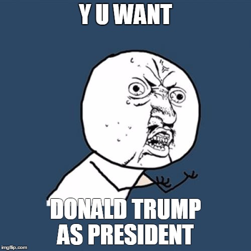 Y U No Meme | Y U WANT; DONALD TRUMP AS PRESIDENT | image tagged in memes,y u no | made w/ Imgflip meme maker