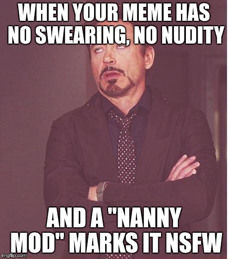 Face You Make Robert Downey Jr | WHEN YOUR MEME HAS NO SWEARING, NO NUDITY; AND A "NANNY MOD" MARKS IT NSFW | image tagged in memes,face you make robert downey jr,mods | made w/ Imgflip meme maker