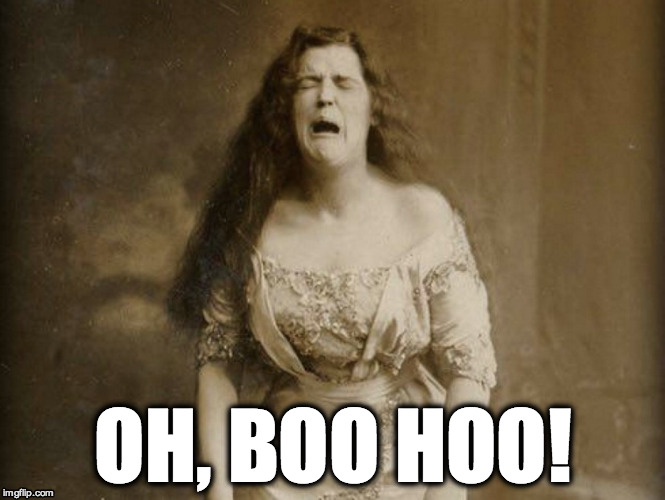 OH, BOO HOO! | OH, BOO HOO! | image tagged in boo hoo | made w/ Imgflip meme maker