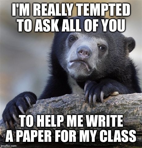 Crowdsourcing imgflip | I'M REALLY TEMPTED TO ASK ALL OF YOU; TO HELP ME WRITE A PAPER FOR MY CLASS | image tagged in memes,confession bear | made w/ Imgflip meme maker
