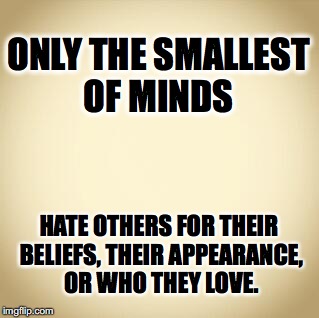 blank | ONLY THE SMALLEST OF MINDS; HATE OTHERS FOR THEIR BELIEFS, THEIR APPEARANCE, OR WHO THEY LOVE. | image tagged in blank | made w/ Imgflip meme maker