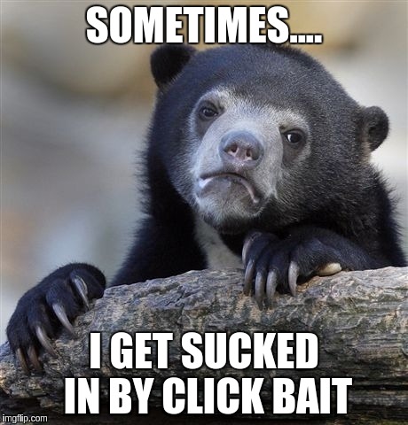 Confession Bear | SOMETIMES.... I GET SUCKED IN BY CLICK BAIT | image tagged in memes,confession bear | made w/ Imgflip meme maker