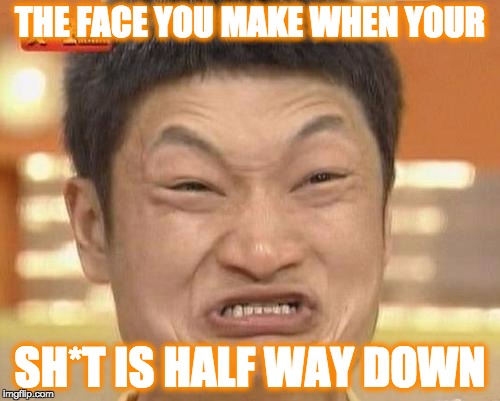 Impossibru Guy Original | THE FACE YOU MAKE WHEN YOUR; SH*T IS HALF WAY DOWN | image tagged in memes,impossibru guy original | made w/ Imgflip meme maker