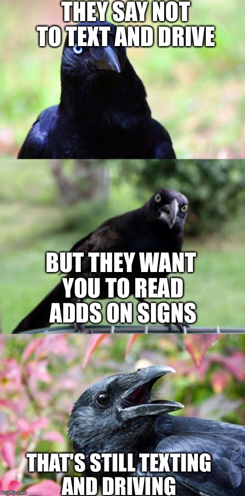 Both ways we're  still texting and driving  | THEY SAY NOT TO TEXT AND DRIVE; BUT THEY WANT YOU TO READ ADDS ON SIGNS; THAT'S STILL TEXTING AND DRIVING | image tagged in bad pun crow,texting | made w/ Imgflip meme maker