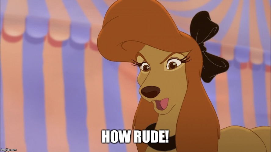 How Rude! | HOW RUDE! | image tagged in dixie,memes,disney,the fox and the hound 2,reba mcentire,dog | made w/ Imgflip meme maker