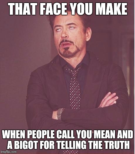 Face You Make Robert Downey Jr | THAT FACE YOU MAKE; WHEN PEOPLE CALL YOU MEAN AND A BIGOT FOR TELLING THE TRUTH | image tagged in memes,face you make robert downey jr | made w/ Imgflip meme maker