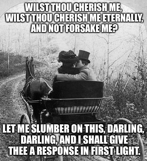 Promised land by the carriage lanterns. Name thy tune! | WILST THOU CHERISH ME, WILST THOU CHERISH ME ETERNALLY, AND NOT FORSAKE ME? LET ME SLUMBER ON THIS, DARLING, DARLING, AND I SHALL GIVE THEE A RESPONSE IN FIRST LIGHT. | image tagged in meme | made w/ Imgflip meme maker
