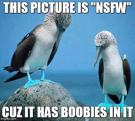 THIS PICTURE IS "NSFW" CUZ IT HAS BOOBIES IN IT | made w/ Imgflip meme maker