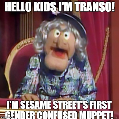 You know it's coming eventually | HELLO KIDS I'M TRANSO! I'M SESAME STREET'S FIRST GENDER CONFUSED MUPPET! | image tagged in muppets,transgender,progressive,sesame street | made w/ Imgflip meme maker