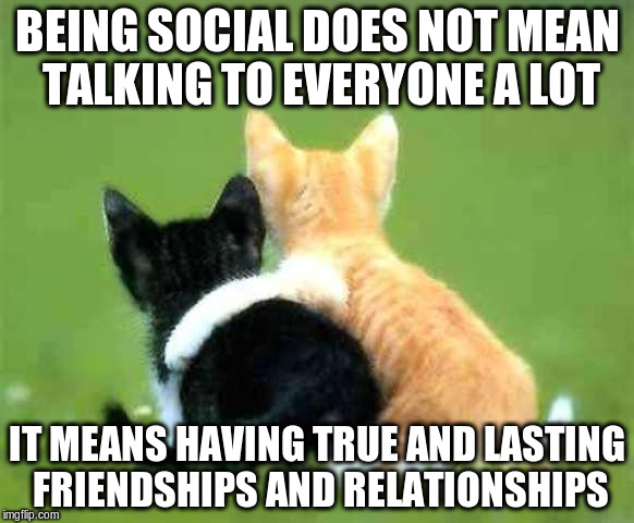 friends | BEING SOCIAL DOES NOT MEAN TALKING TO EVERYONE A LOT; IT MEANS HAVING TRUE AND LASTING FRIENDSHIPS AND RELATIONSHIPS | image tagged in friends | made w/ Imgflip meme maker