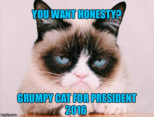 FELINE PARTY | YOU WANT HONESTY? GRUMPY CAT FOR PRESIDENT; 2016 | image tagged in grumpy cat,president 2016 | made w/ Imgflip meme maker