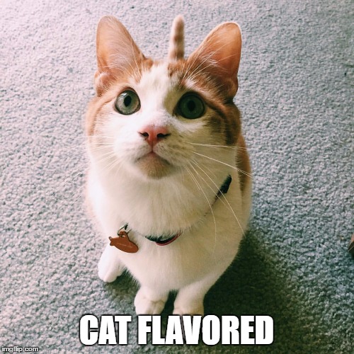 Unicorn Cat | CAT FLAVORED | image tagged in unicorn cat | made w/ Imgflip meme maker