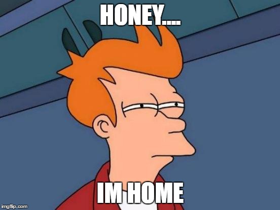 Futurama Fry Meme | HONEY.... IM HOME | image tagged in memes,futurama fry | made w/ Imgflip meme maker