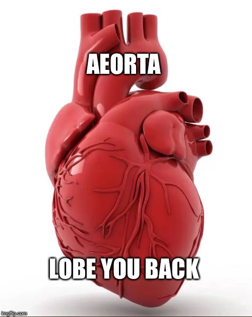 AEORTA LOBE YOU BACK | made w/ Imgflip meme maker