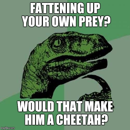 Philosoraptor Meme | FATTENING UP YOUR OWN PREY? WOULD THAT MAKE HIM A CHEETAH? | image tagged in memes,philosoraptor | made w/ Imgflip meme maker