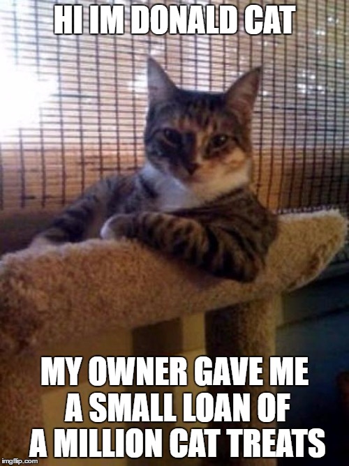 The Most Interesting Cat In The World Meme |  HI IM DONALD CAT; MY OWNER GAVE ME A SMALL LOAN OF A MILLION CAT TREATS | image tagged in memes,the most interesting cat in the world | made w/ Imgflip meme maker