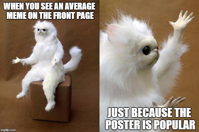 Persian Cat Room Guardian Meme | WHEN YOU SEE AN AVERAGE MEME ON THE FRONT PAGE; JUST BECAUSE THE POSTER IS POPULAR | image tagged in persian cat room guardian | made w/ Imgflip meme maker